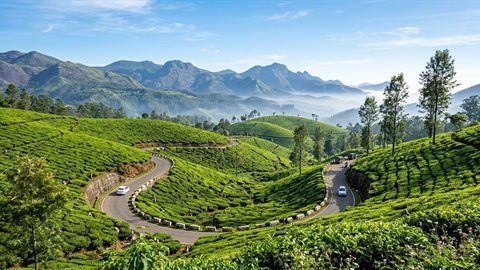 Ooty